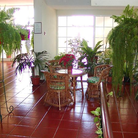 Vila Marta Funchal  Bagian luar foto