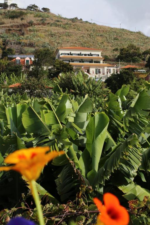 Vila Marta Aparthotel Funchal  Bagian luar foto