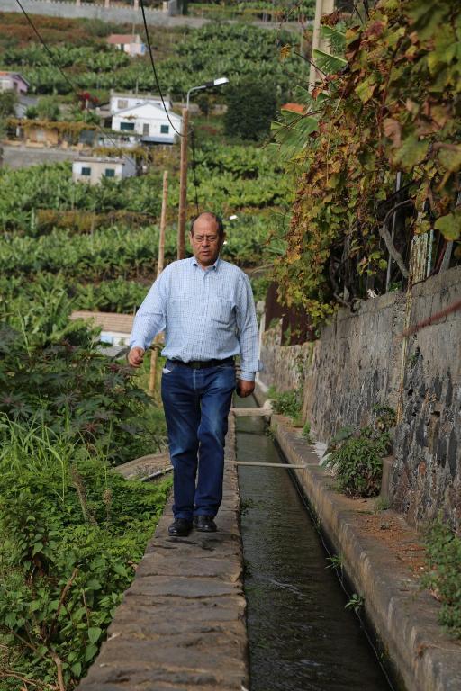Vila Marta Funchal  Bagian luar foto