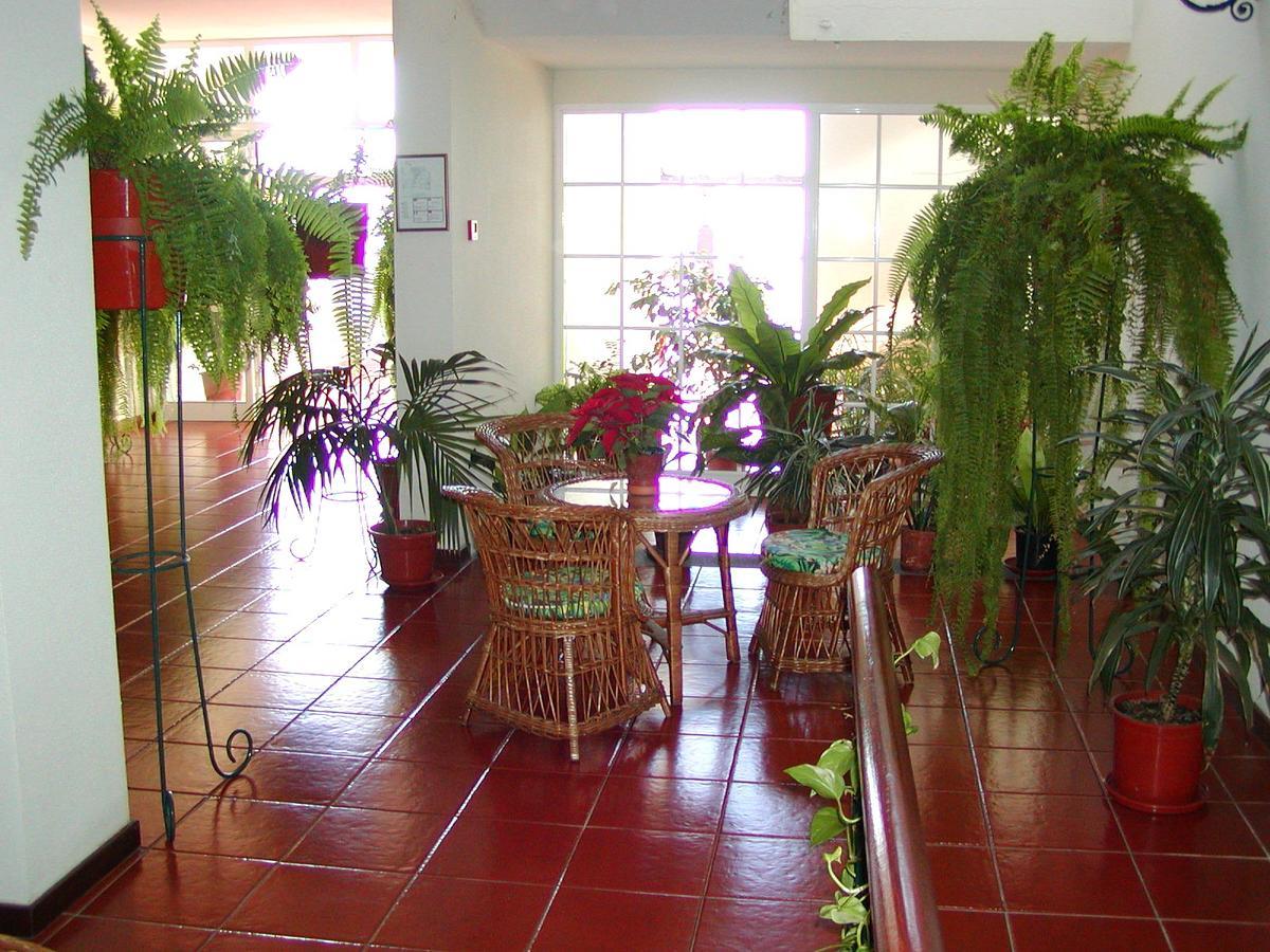 Vila Marta Funchal  Bagian luar foto