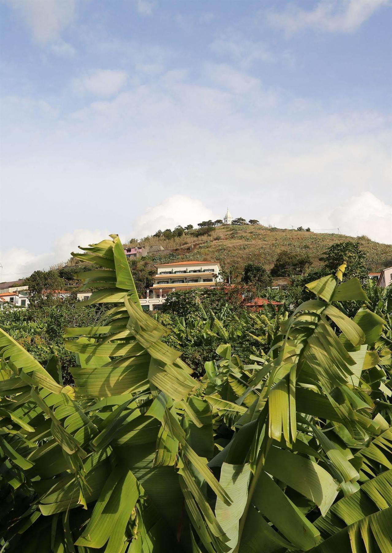 Vila Marta Aparthotel Funchal  Bagian luar foto