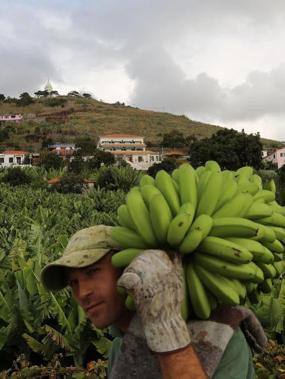 Vila Marta Funchal  Bagian luar foto